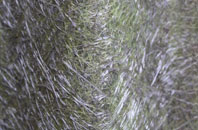 Chat Hill fibreglass roof work